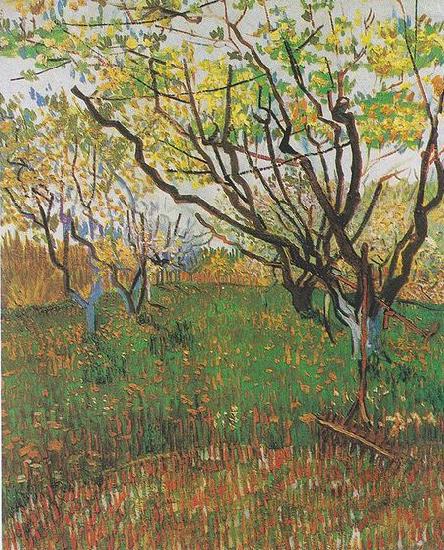 Vincent Van Gogh Flowering Orchard oil painting image